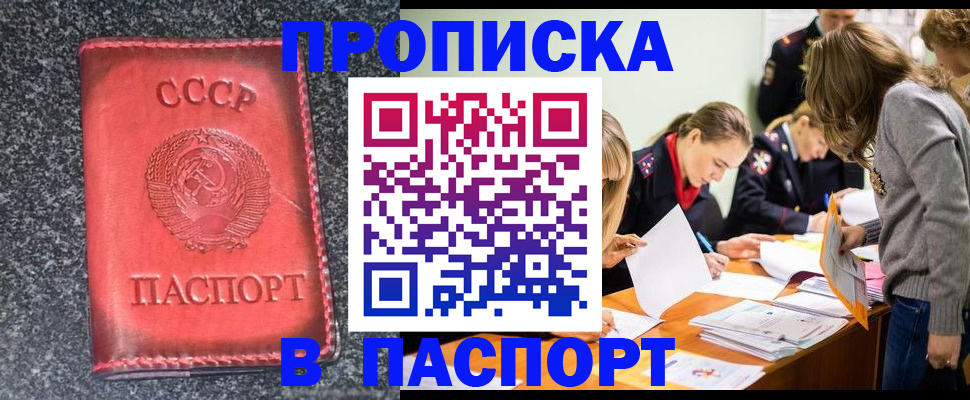 прописка для школы в Березниках